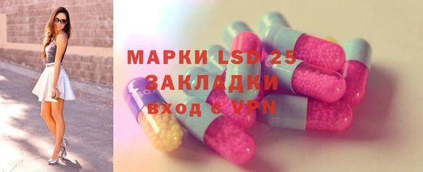 гашик Алексеевка