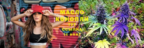 гашик Алексеевка