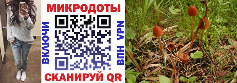 продажа наркотиков  Сосновоборск  Галлюциногенные грибы Cubensis 