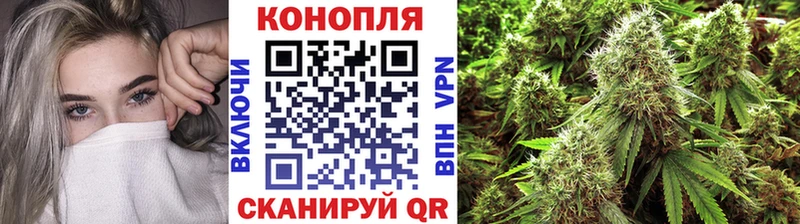 продажа наркотиков  Сосновоборск  Марихуана White Widow 